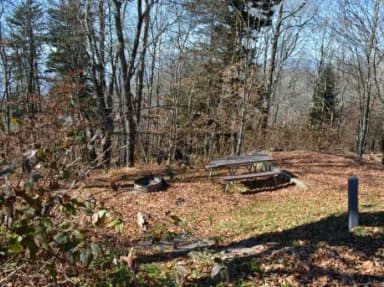 A photo of Site 36 of Loop BALSAM MOUNTAIN CAMPGROUND at BALSAM MOUNTAIN CAMPGROUND with Picnic Table, Fire Pit, Tent Pad