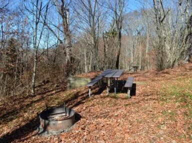 A photo of Site 36 of Loop BALSAM MOUNTAIN CAMPGROUND at BALSAM MOUNTAIN CAMPGROUND with Picnic Table, Fire Pit, Tent Pad