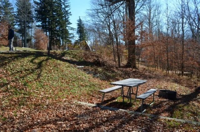 A photo of Site 36 of Loop BALSAM MOUNTAIN CAMPGROUND at BALSAM MOUNTAIN CAMPGROUND with Picnic Table, Fire Pit, Tent Pad