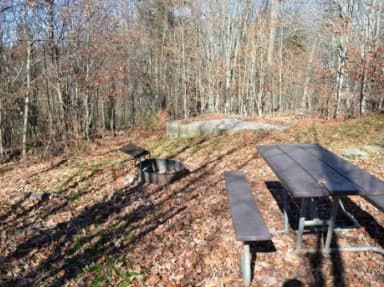 A photo of Site 37 of Loop BALSAM MOUNTAIN CAMPGROUND at BALSAM MOUNTAIN CAMPGROUND with Picnic Table, Fire Pit, Tent Pad