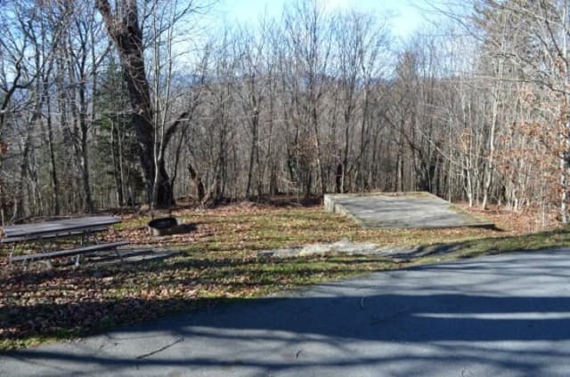 A photo of Site 37 of Loop BALSAM MOUNTAIN CAMPGROUND at BALSAM MOUNTAIN CAMPGROUND with Picnic Table, Fire Pit, Tent Pad