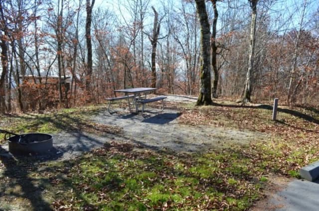 A photo of Site 38 of Loop BALSAM MOUNTAIN CAMPGROUND at BALSAM MOUNTAIN CAMPGROUND with Picnic Table, Fire Pit