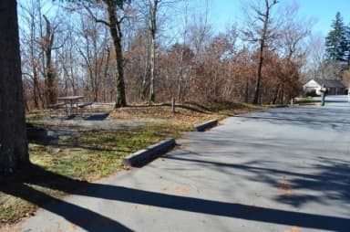 A photo of Site 38 of Loop BALSAM MOUNTAIN CAMPGROUND at BALSAM MOUNTAIN CAMPGROUND with Picnic Table, Fire Pit, Tent Pad
