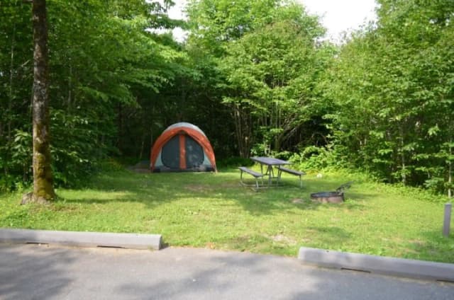 A photo of Site 39 of Loop BALSAM MOUNTAIN CAMPGROUND at BALSAM MOUNTAIN CAMPGROUND with Picnic Table, Fire Pit, Tent Pad