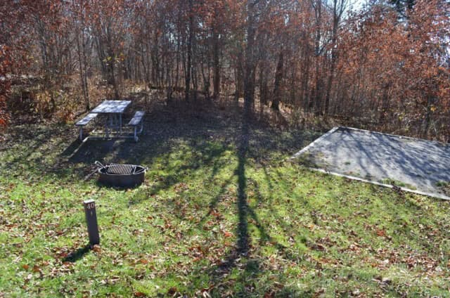 A photo of Site 40 of Loop BALSAM MOUNTAIN CAMPGROUND at BALSAM MOUNTAIN CAMPGROUND with Picnic Table, Fire Pit, Tent Pad