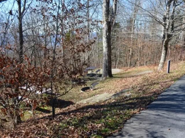 A photo of Site 42 of Loop BALSAM MOUNTAIN CAMPGROUND at BALSAM MOUNTAIN CAMPGROUND with Picnic Table, Fire Pit, Tent Pad