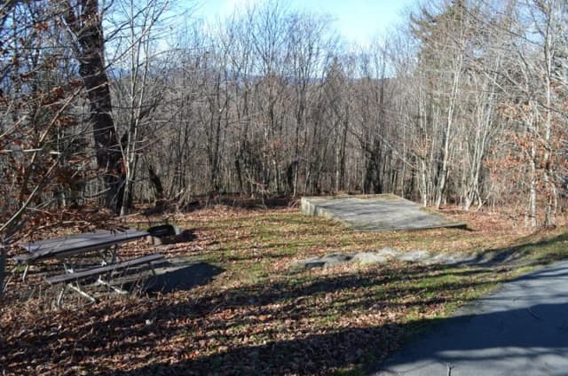 A photo of Site 43 of Loop BALSAM MOUNTAIN CAMPGROUND at BALSAM MOUNTAIN CAMPGROUND with Picnic Table, Fire Pit, Tent Pad