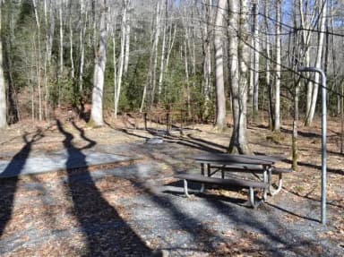 Round Bottom Horse Camp 1-Equestrian Non-Electric Site