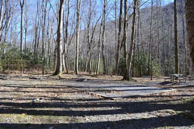 Round Bottom Horse Camp 1 pad