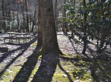 Round Bottom Horse Camp 5-Equestrian Non-Electric