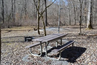 Tow String 003-Equestrian Non-Electric Site View