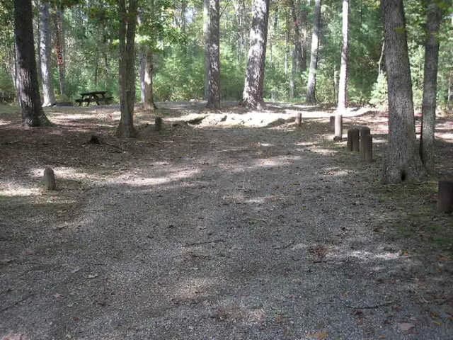 Loop WSHR · Site 003 at Lake Sherwood
