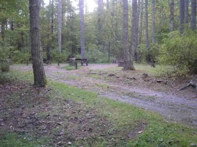 Loop WSHR · Site 026 at Lake Sherwood