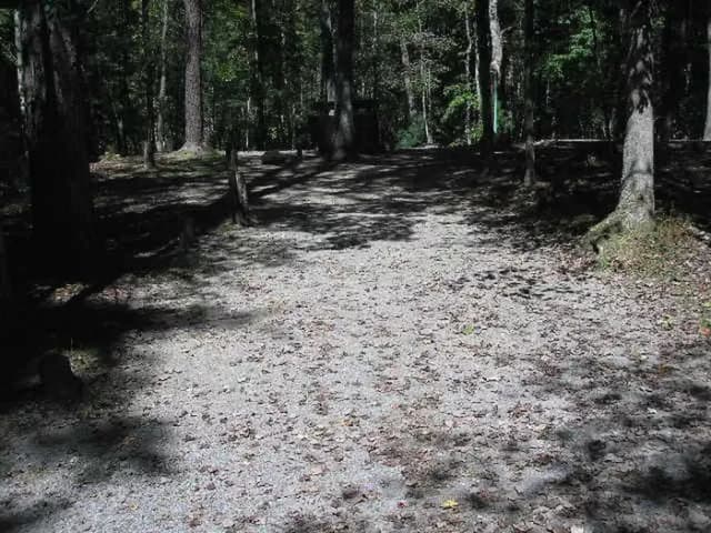 Loop PINE · Site 030 at Lake Sherwood