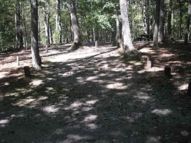 Loop PINE · Site 031 at Lake Sherwood