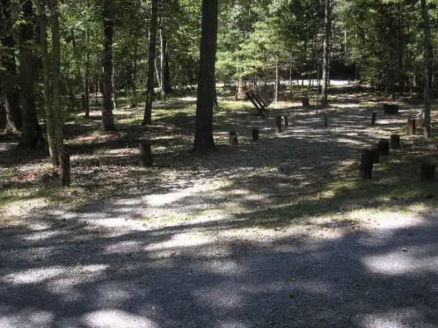 Loop PINE · Site 036 at Lake Sherwood
