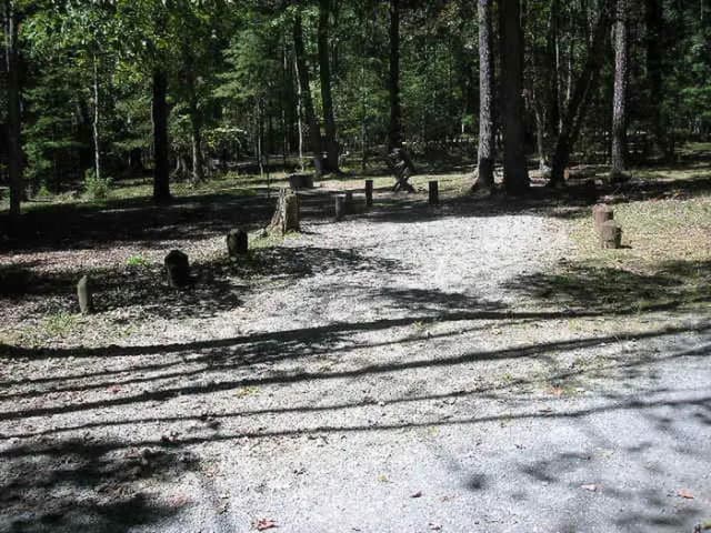 Loop PINE · Site 037 at Lake Sherwood