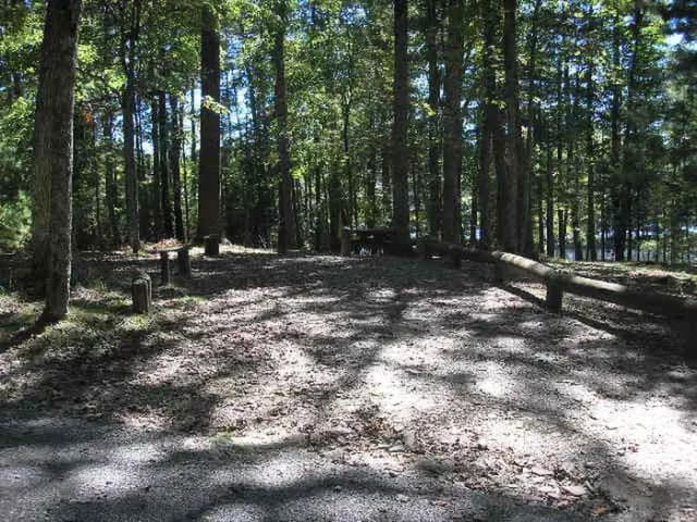 Loop PINE · Site 041 at Lake Sherwood