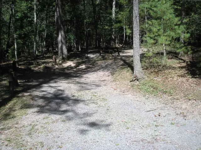 Loop PINE · Site 044 at Lake Sherwood