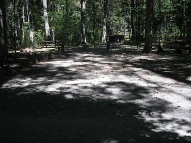 Loop PINE · Site 056 at Lake Sherwood