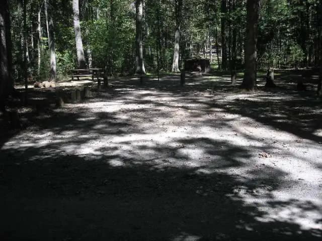 Loop PINE · Site 056 at Lake Sherwood