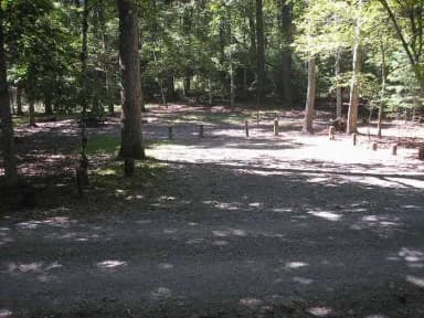 Loop PINE · Site 061 at Lake Sherwood