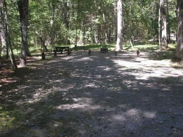 Loop MEAD · Site 068 at Lake Sherwood