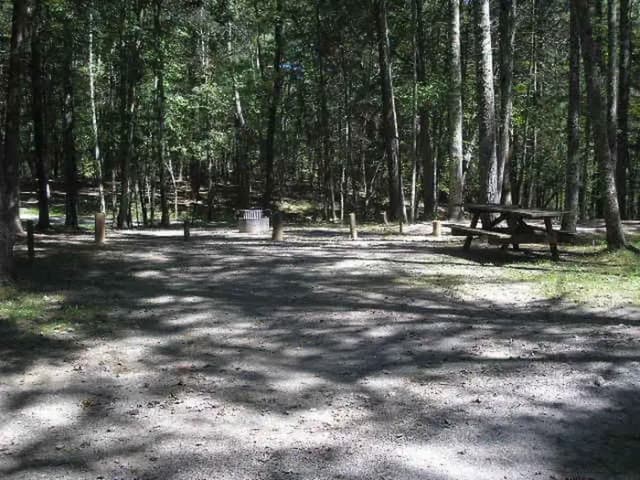 Loop MEAD · Site 081 at Lake Sherwood