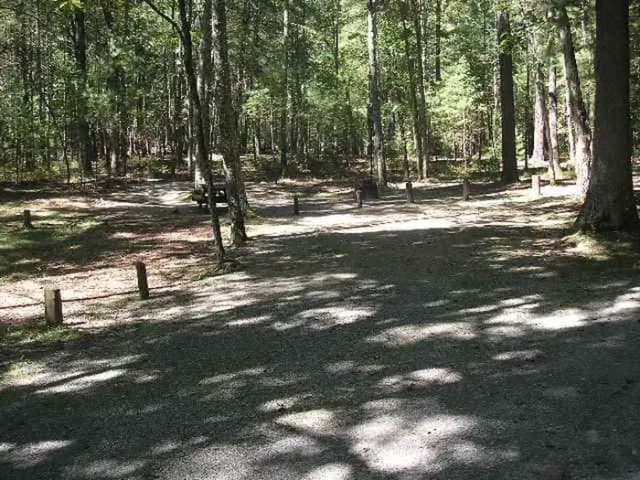 Loop MEAD · Site 085 at Lake Sherwood