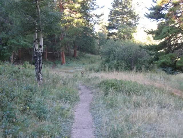 B Loop · Site 014 at Rocky Mountain National Park Aspenglen Campground