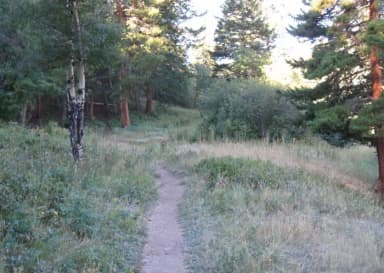B Loop · Site 014 at Rocky Mountain National Park Aspenglen Campground