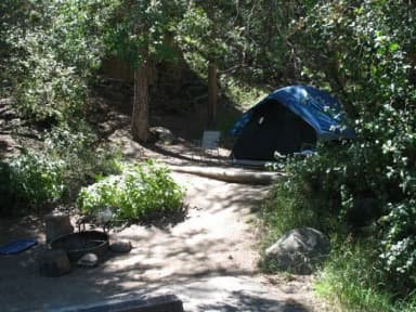 Site 017 at Rocky Mountain National Park Aspenglen Campground