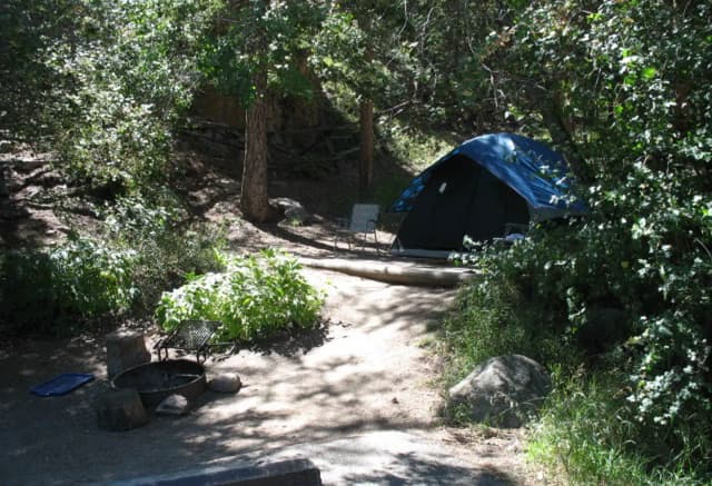 Site 017 at Rocky Mountain National Park Aspenglen Campground