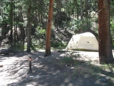 C Loop · Site 026 at Rocky Mountain National Park Aspenglen Campground