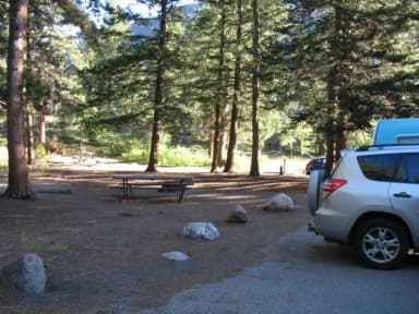 C Loop · Site 031 at Rocky Mountain National Park Aspenglen Campground