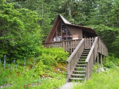 Brown cabin with steps extending down to grass with blue and orange flowers with trees behind cabin