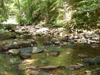 Creek running alongside campground