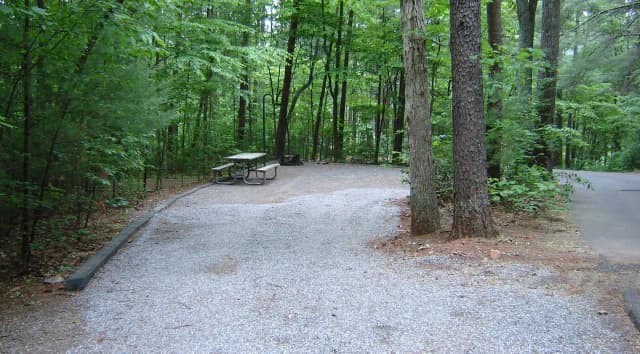 Site #1
