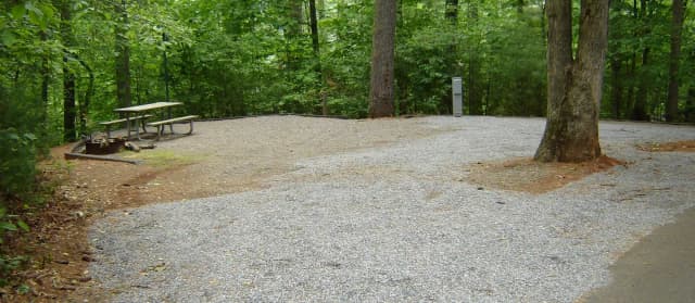 Site #4
