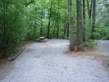 Site #1