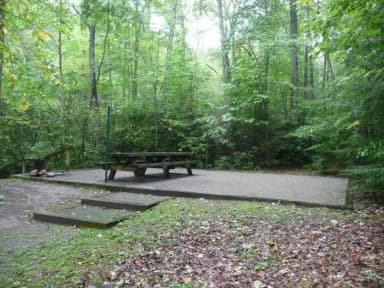 Secluded site behind host
