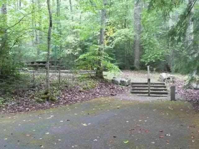 Secluded site behind host