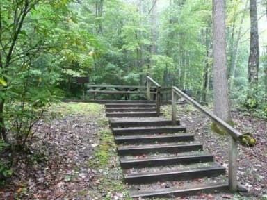 Secluded site behind host