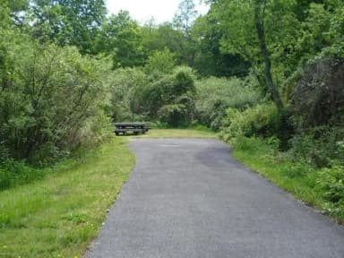 Standard · Site 002 at Stony Fork Campground