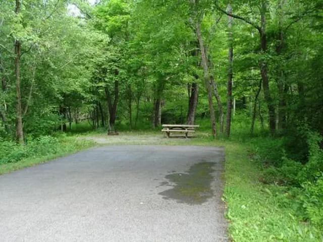 Stony Fork Campground