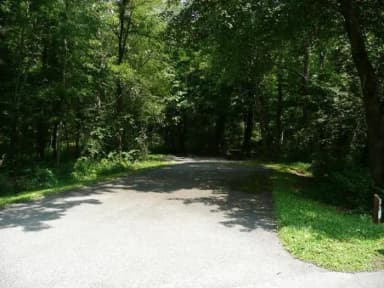 Standard · Site 003 at Stony Fork Campground