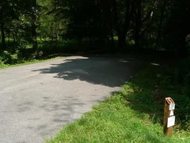 Standard · Site 005 at Stony Fork Campground