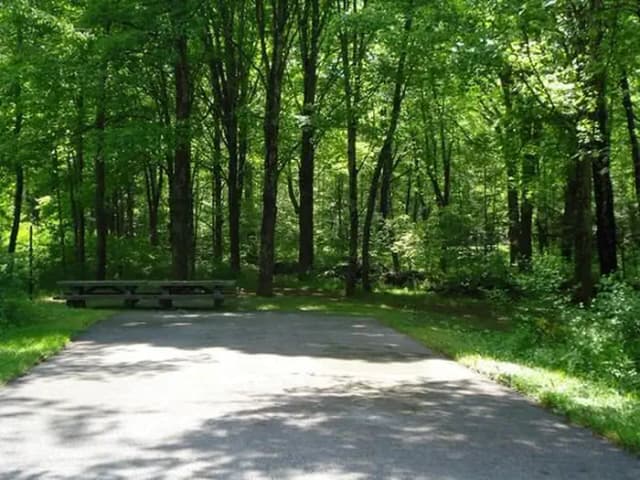 Standard · Site 006 at Stony Fork Campground