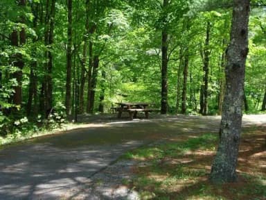 Electric · Site 007 at Stony Fork Campground