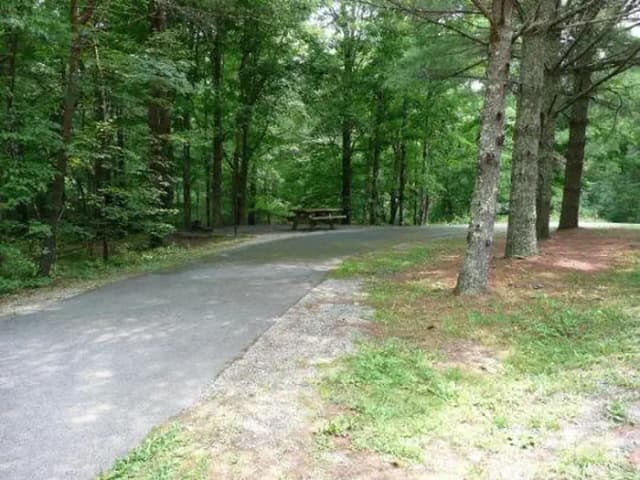 Electric · Site 007 at Stony Fork Campground
